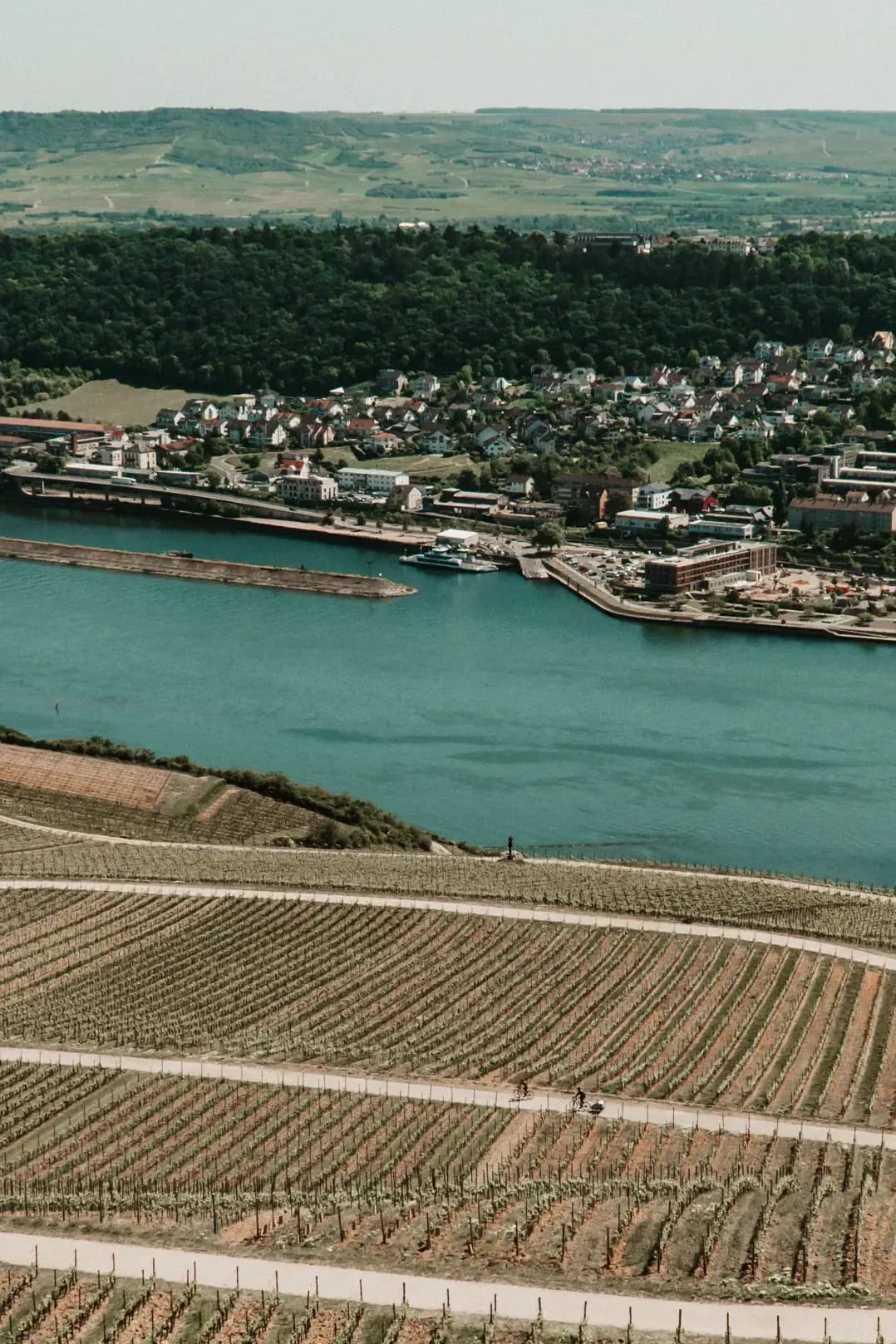 Découvrir les grands crus au fil des saisons