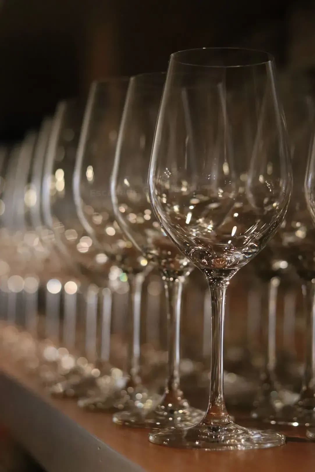 Rencontres avec les vignerons : l’âme des grands crus