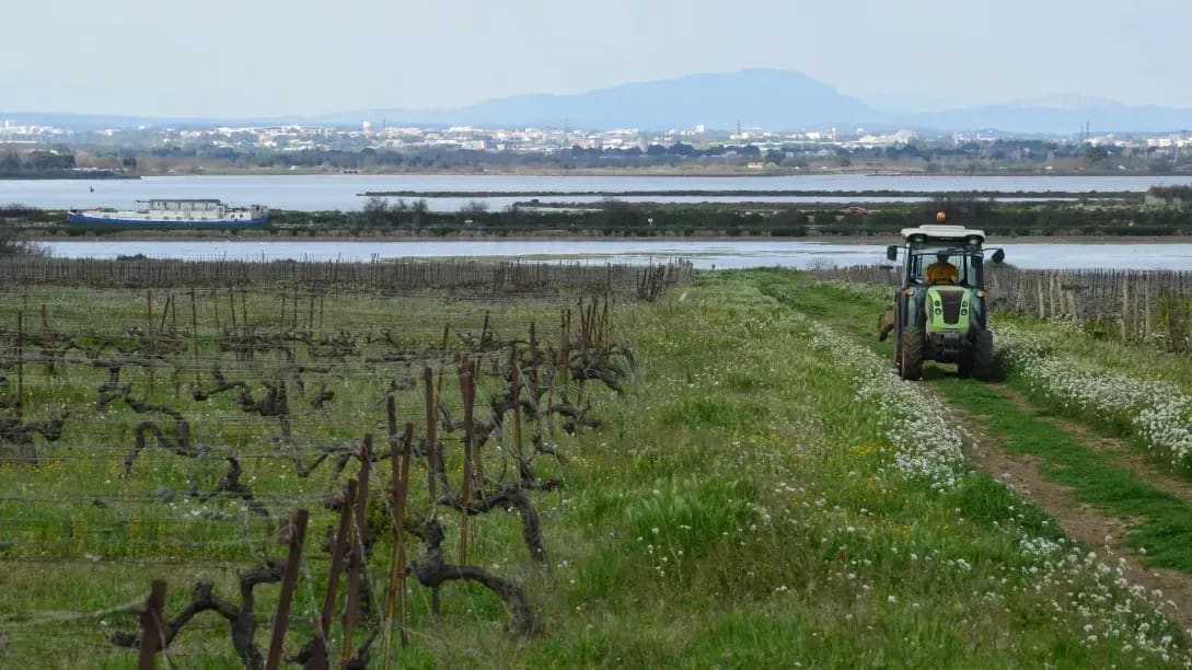 Escapade Grands Crus 10