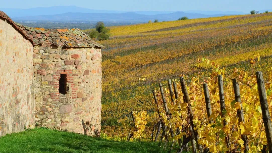 Escapade Grands Crus 4