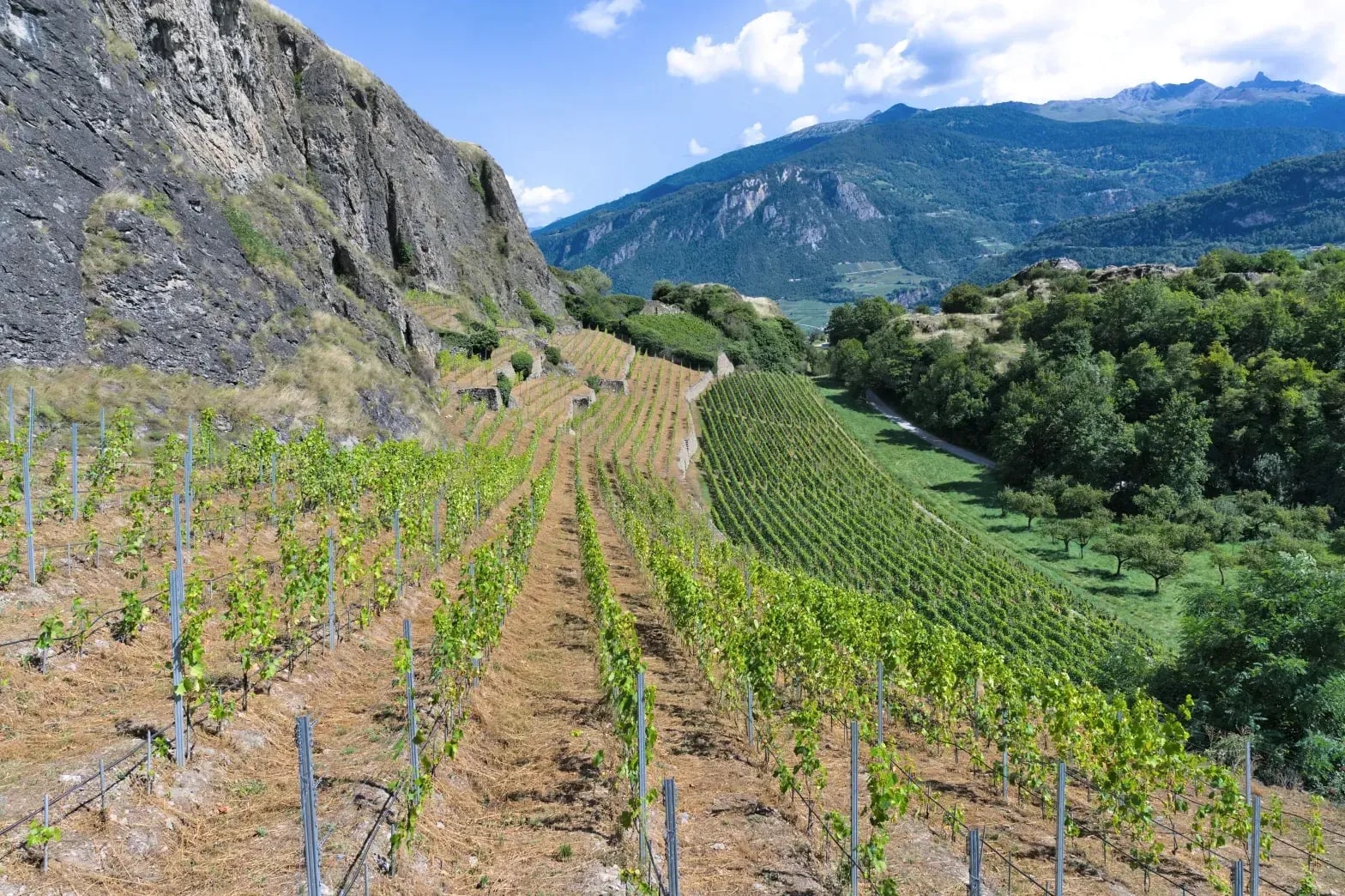 Partez en minibus pour une Escapade Grands Crus vignoble à 58 € par personne, au départ de Dijon